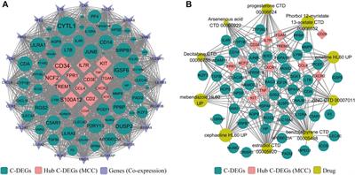 Systematic analysis of prognostic and immunologic characteristics associated with coronavirus disease 2019 regulators in acute myeloid leukemia